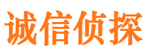 马村捉小三公司